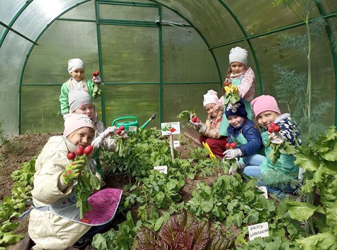 «Зелёная школа» для малышей